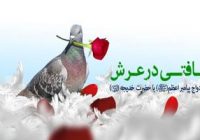 حجه الاسلام دکتر محسن زاده